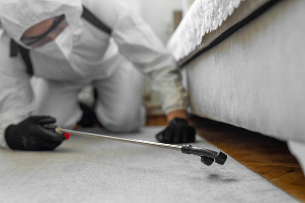 Professional Termite Control technician working in Dunstan, ME