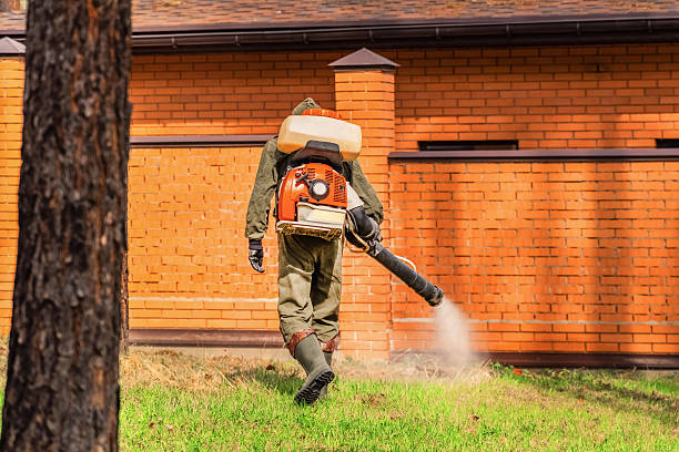 Top rated local Termite Control specialists in Dunstan, ME